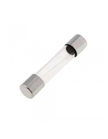FUSÍVEL DE VIDRO 10A 250v 5x20MM 20AG PEQUENO
