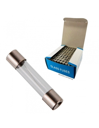 FUSÍVEL VIDRO 20A 250V 6X30MM 30AG QDE (EMB C/ 100)